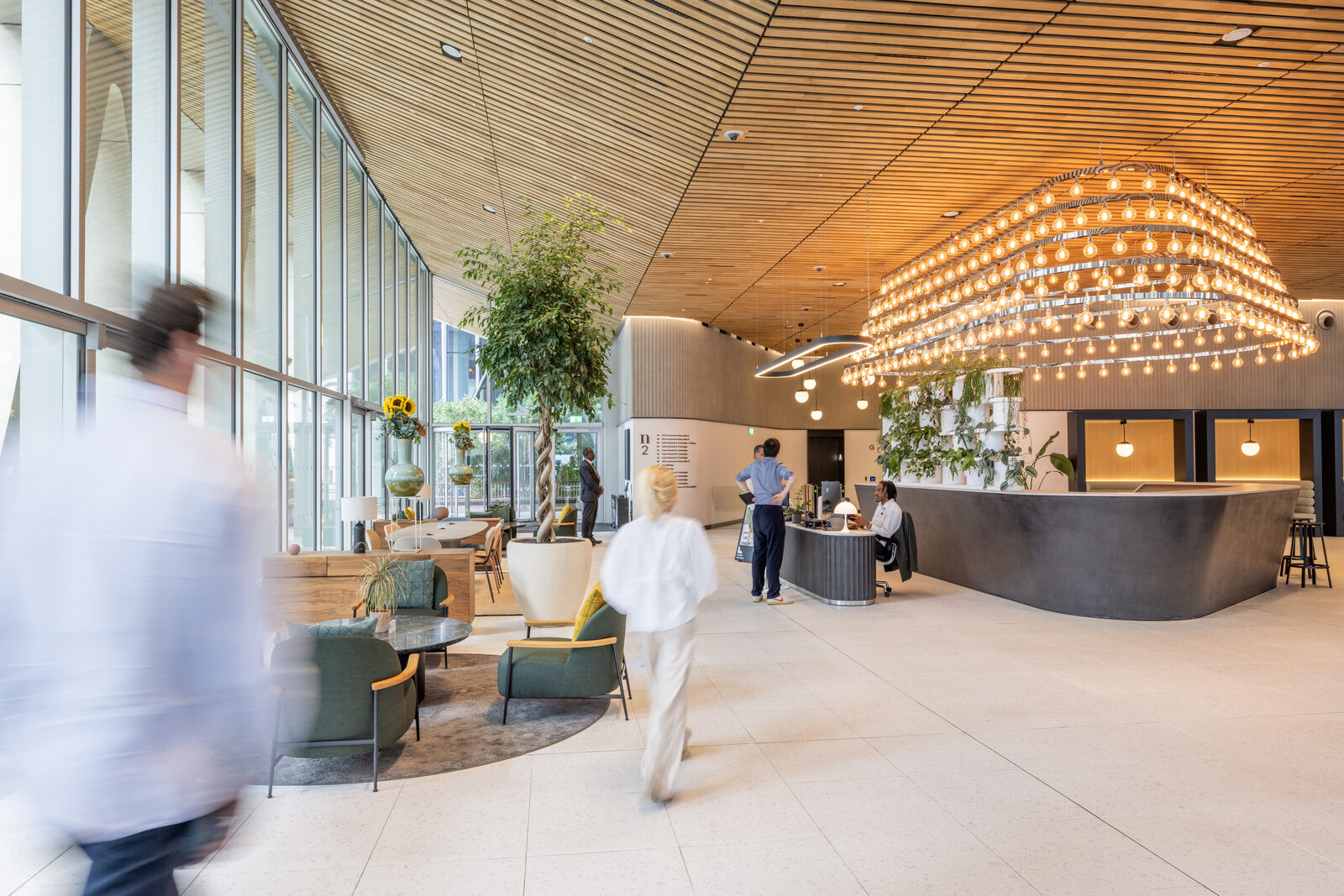 Areas of Responsibility