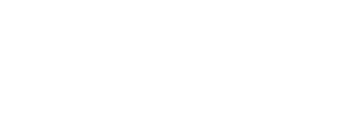 riskwise logo